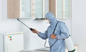 pest control service