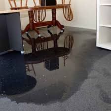 Drying wet carpet Auckland