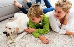 carpet-care