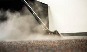 Steam n Dry Carpet Cleaning Guidelines