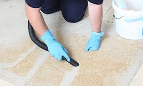carpet care tips