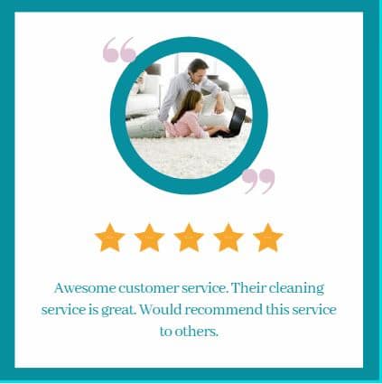 carpet cleaning reviews