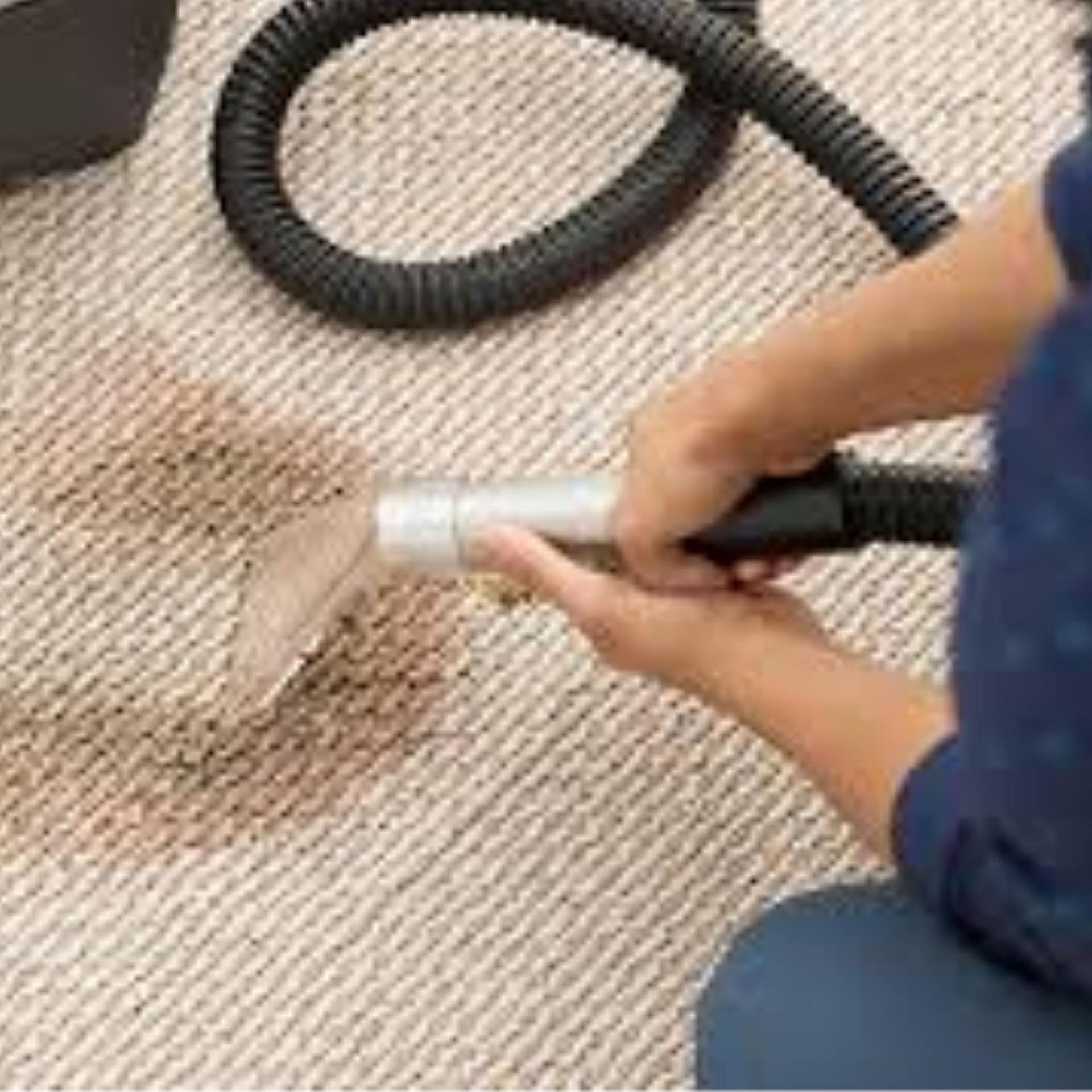 Chocolate Removal from Carpet Tips Stain Removal in Auckland