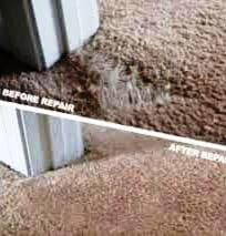 carpet repairs Auckland