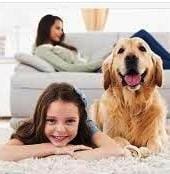 fabric stain protection Auckland